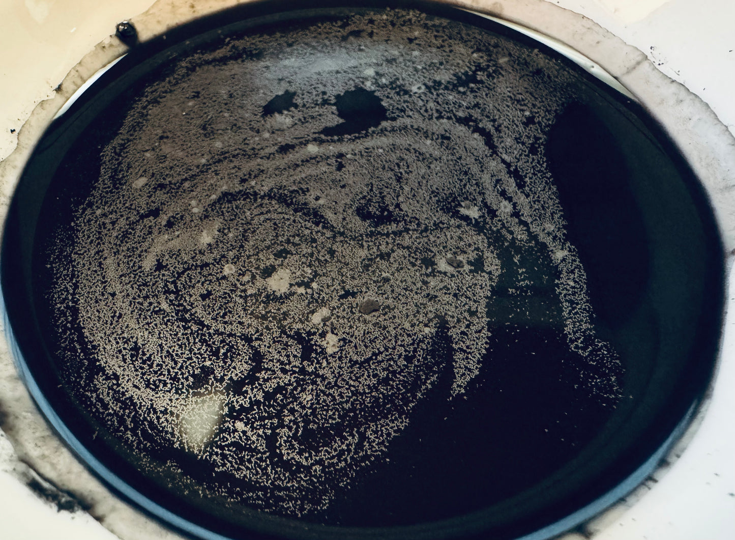 Natural Charcoal Powder for Black