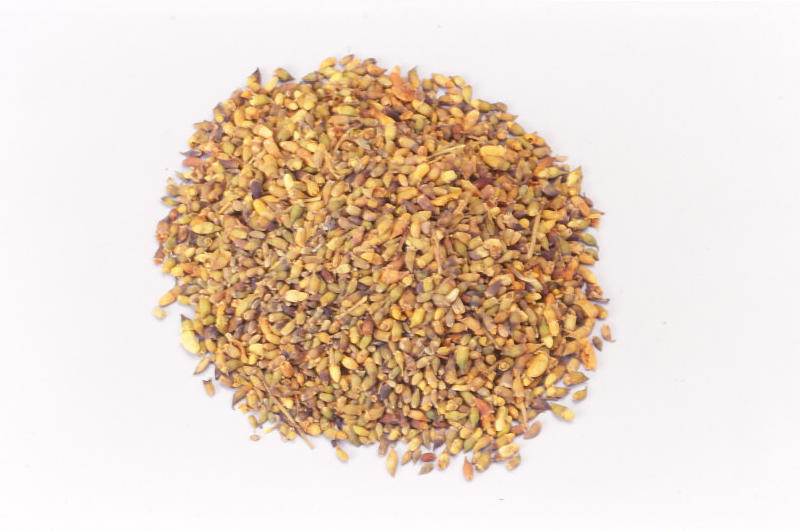 Enjyu (Japanese pagoda tree buds)