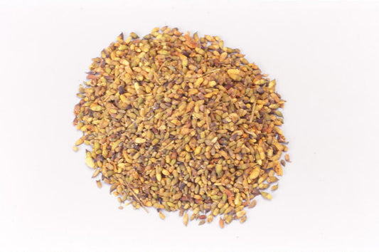 Enjyu (Japanese pagoda tree buds)