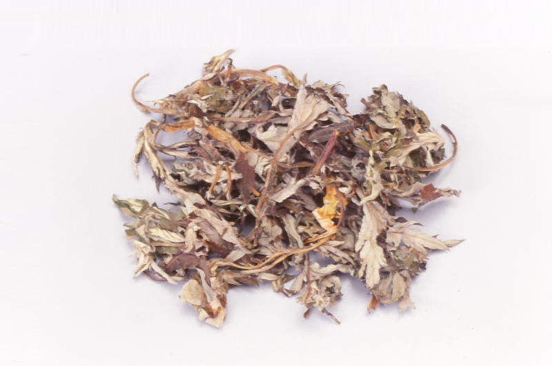 Yomogi (Japanese mugwort leaves)