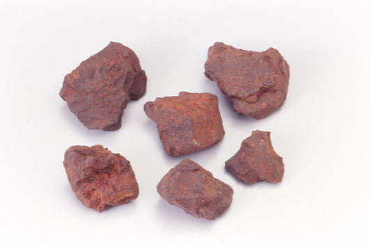 Catechu (gambir extract)