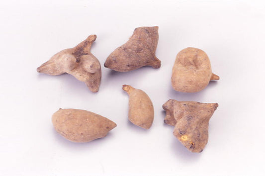 Gobaishi (Galls of Sumac Tree)