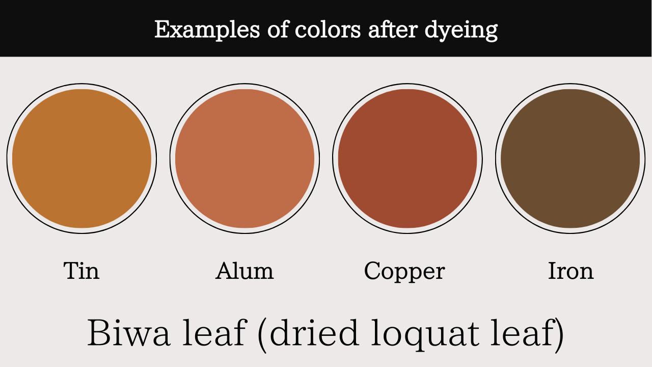 Biwanoha (Dried loquat leaf)
