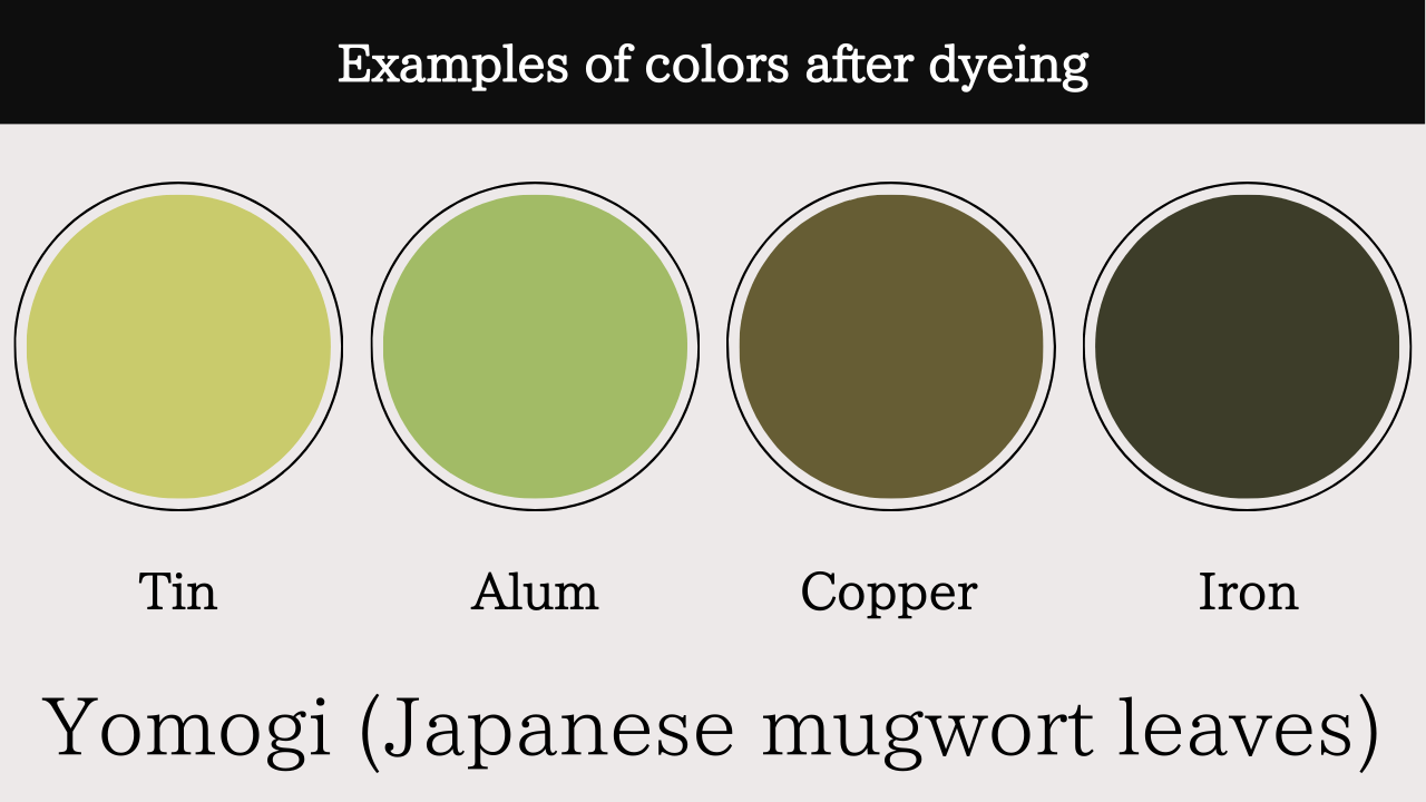 Yomogi (Japanese mugwort leaves)