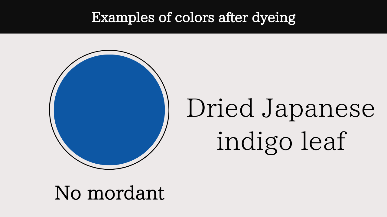 Dried Japanese indigo leaf
