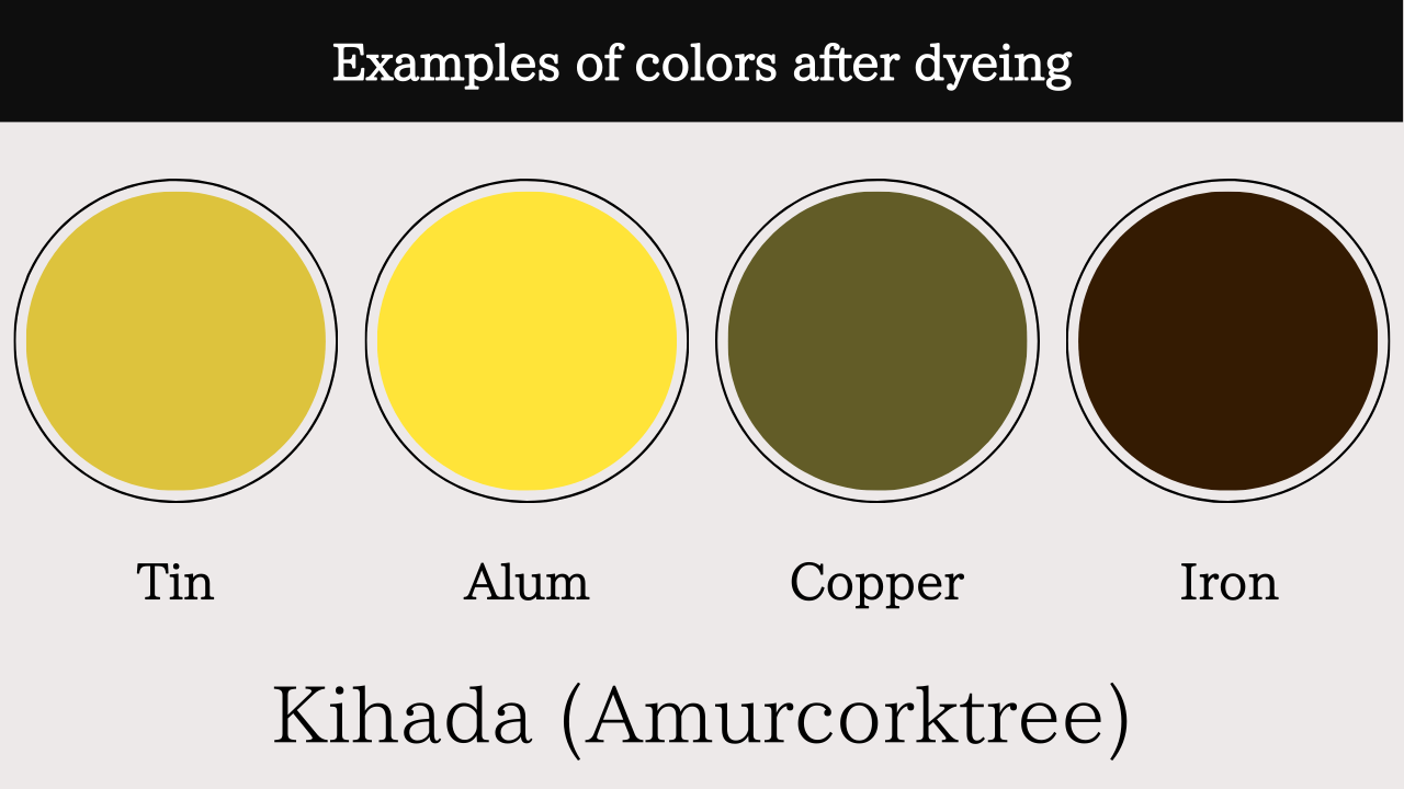 Kihada (Amurcorktree)