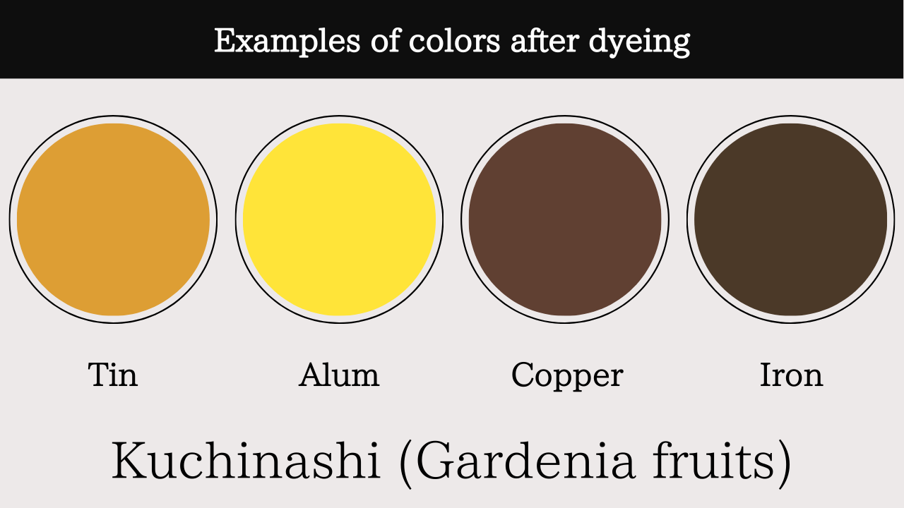 Kuchinashi (Gardenia fruits)